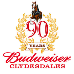 Budweiser Clydesdales